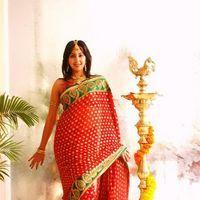 Sanjana Galrani In Saree Diwali Look - Stills | Picture 110828